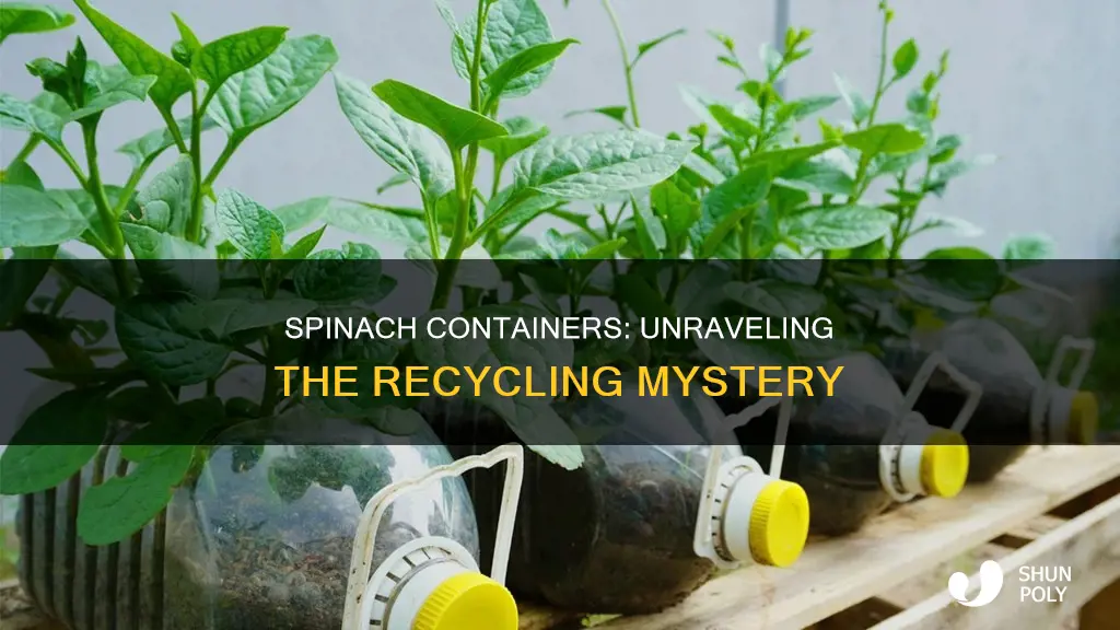 are plastic spinach containers recyclable