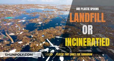 The Fate of Plastic Spoons: Landfill or Incineration?