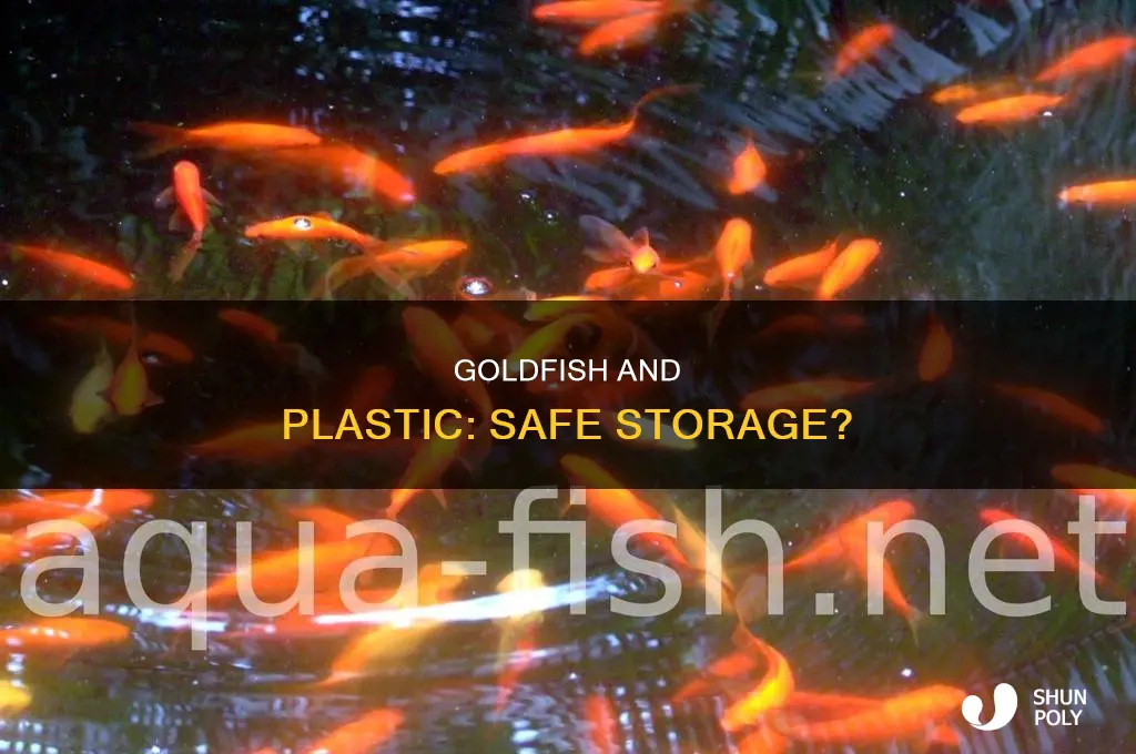 are plastic storage containers toxic to goldfish