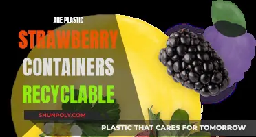 Recycling Plastic Strawberry Containers: What You Need to Know