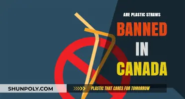 Canada's Straw Ban: A Comprehensive Guide to the New Regulations