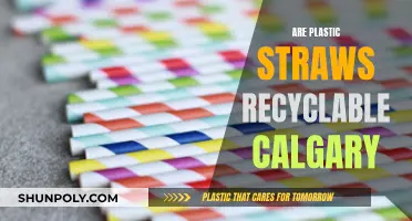 Calgary's Plastic Straws: Are They Recyclable or Not?