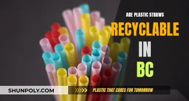 BC's Plastic Straw Recycling: What You Need to Know