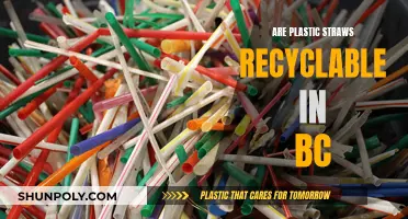 Plastic Straws: BC's Recycling Mystery Explained