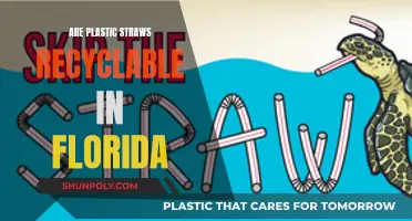 Plastic Straws in Florida: Can They Be Recycled?