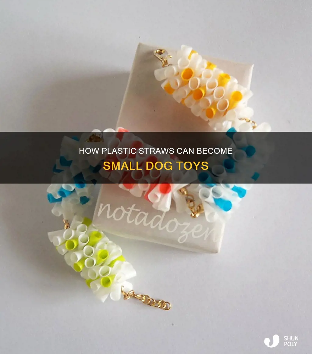 are plastic straws recyclable into small dog toys