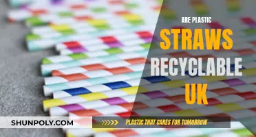 UK Plastic Straws: Are They Recyclable?