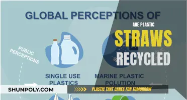 Unraveling the Recycling Mystery: Do Plastic Straws Get a Second Life?