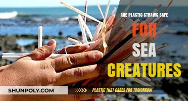 Decoding the Impact: Are Plastic Straws Safe for Sea Life?