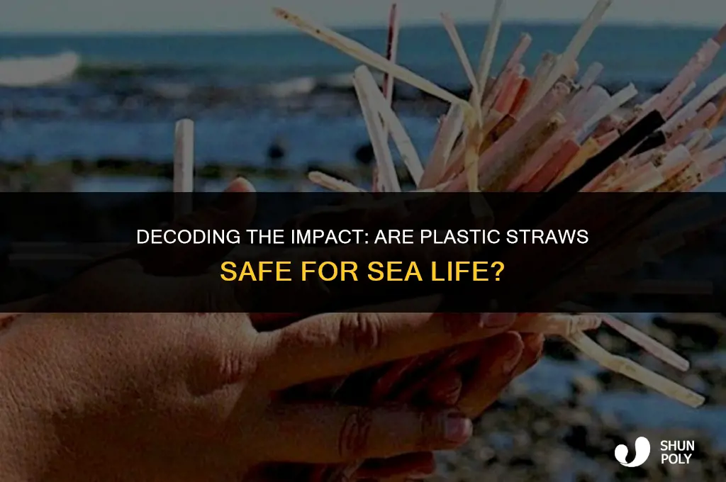 are plastic straws safe for sea creatures