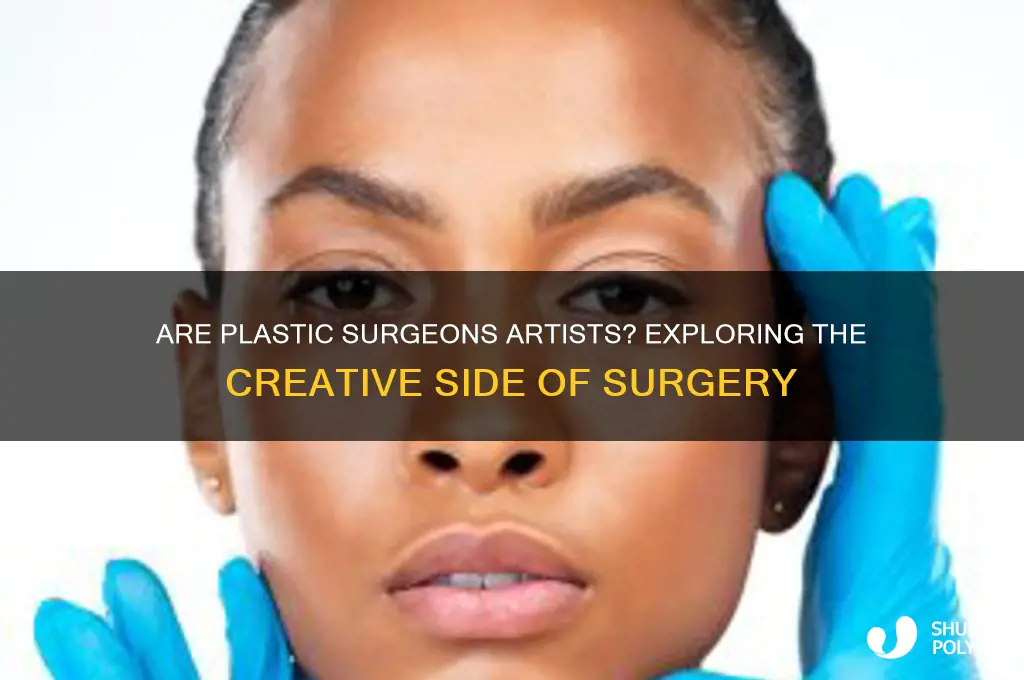 are plastic surgeons artists