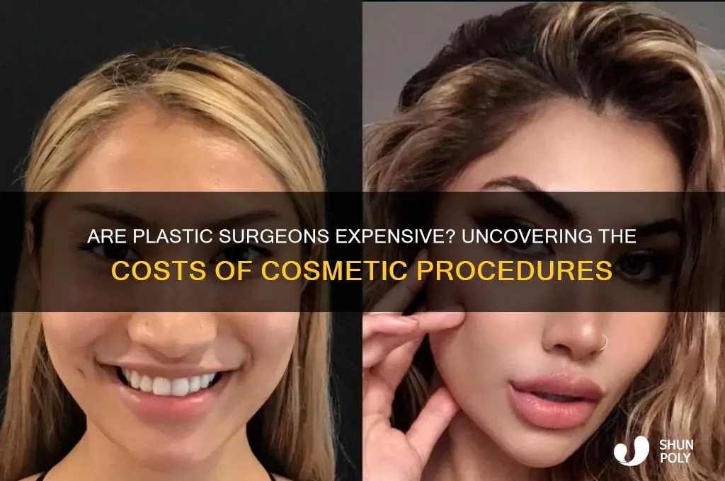 are plastic surgeons expensive