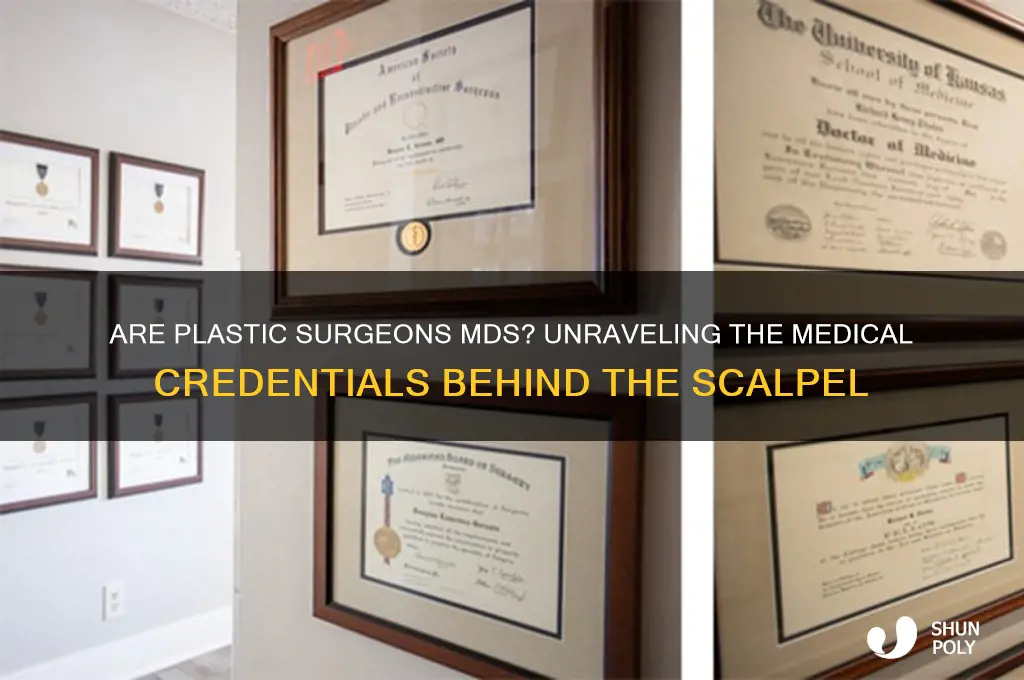 are plastic surgeons mds