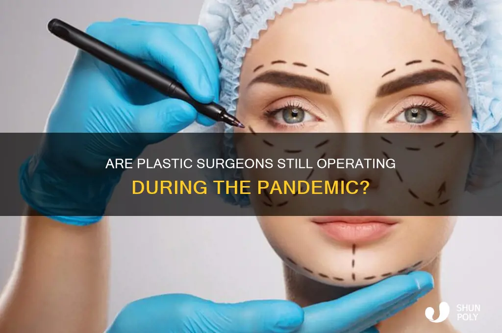 are plastic surgeons still open