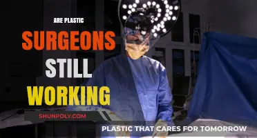 Are Plastic Surgeons Still Working? Exploring the Current State of Practice