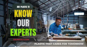 Plastic Knowledge: Experts' Insights Unveiled