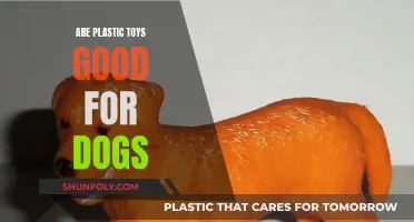 Plastic Toys for Dogs: Good or Bad?