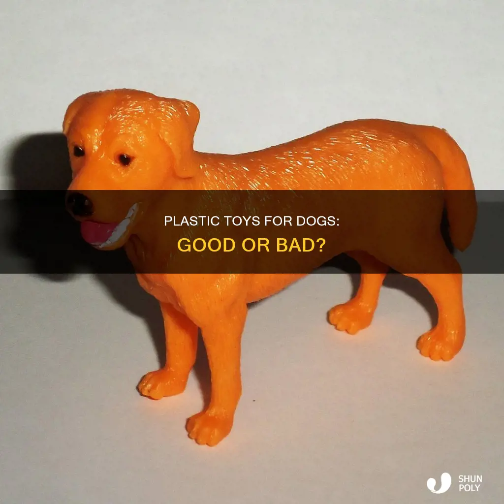 are plastic toys good for dogs