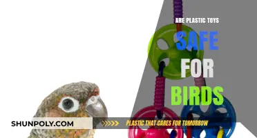 Are Plastic Toys Safe for Birds? A Comprehensive Guide for Pet Owners