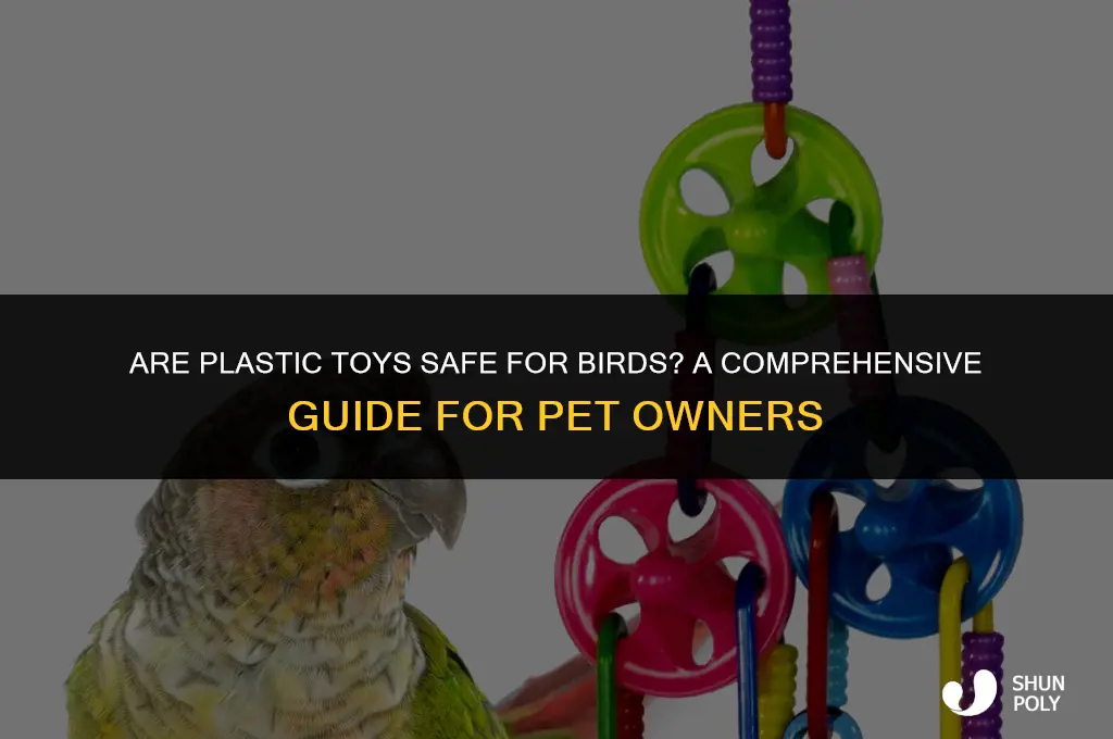 are plastic toys safe for birds