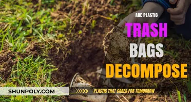 Plastic Trash Bags: Do They Decompose?