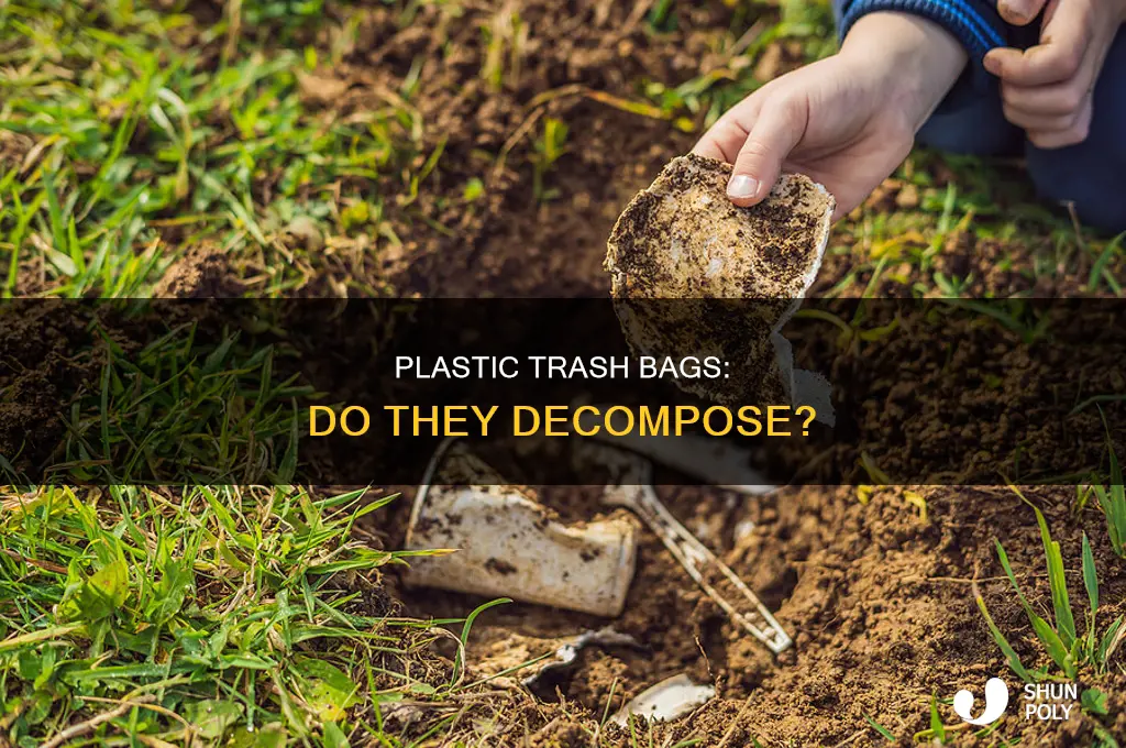 are plastic trash bags decompose