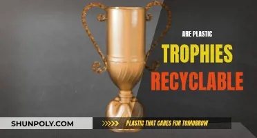 Plastic Trophies: Can They Be Recycled?