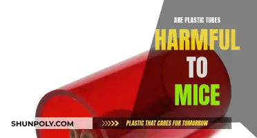 Plastic Tubes: A Harmful Home for Mice?