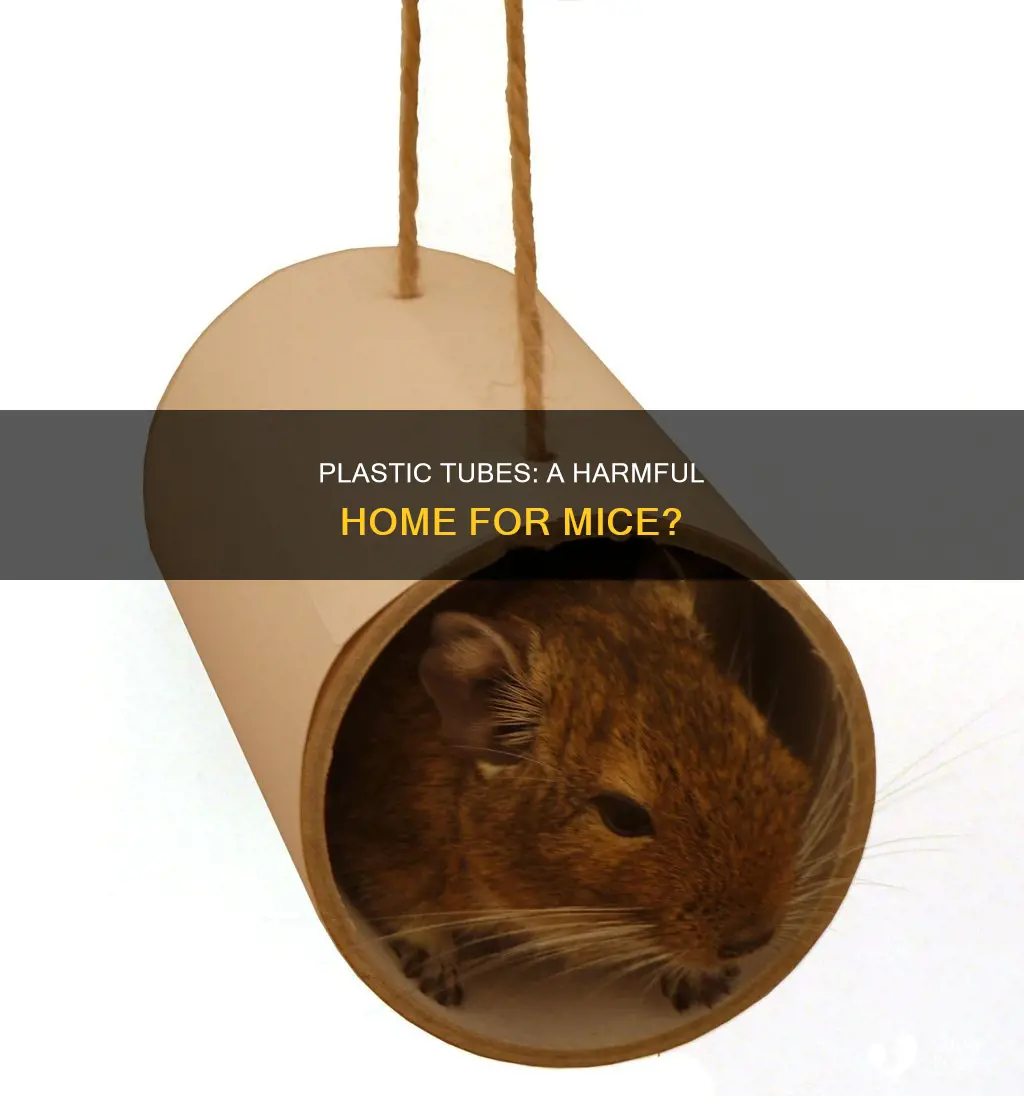 are plastic tubes harmful to mice