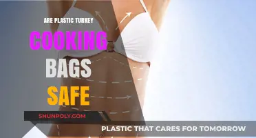 Plastic Turkey Bags: Safe to Use?