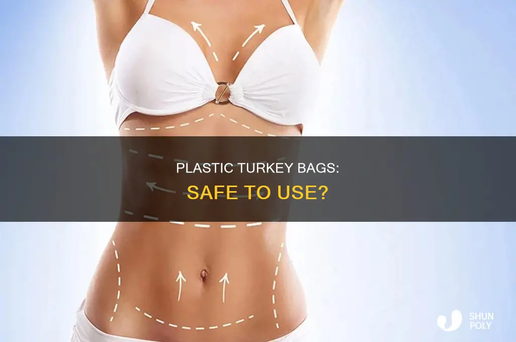 are plastic turkey cooking bags safe