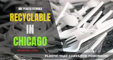 Chicago's Plastic Cutlery: What's Recyclable?