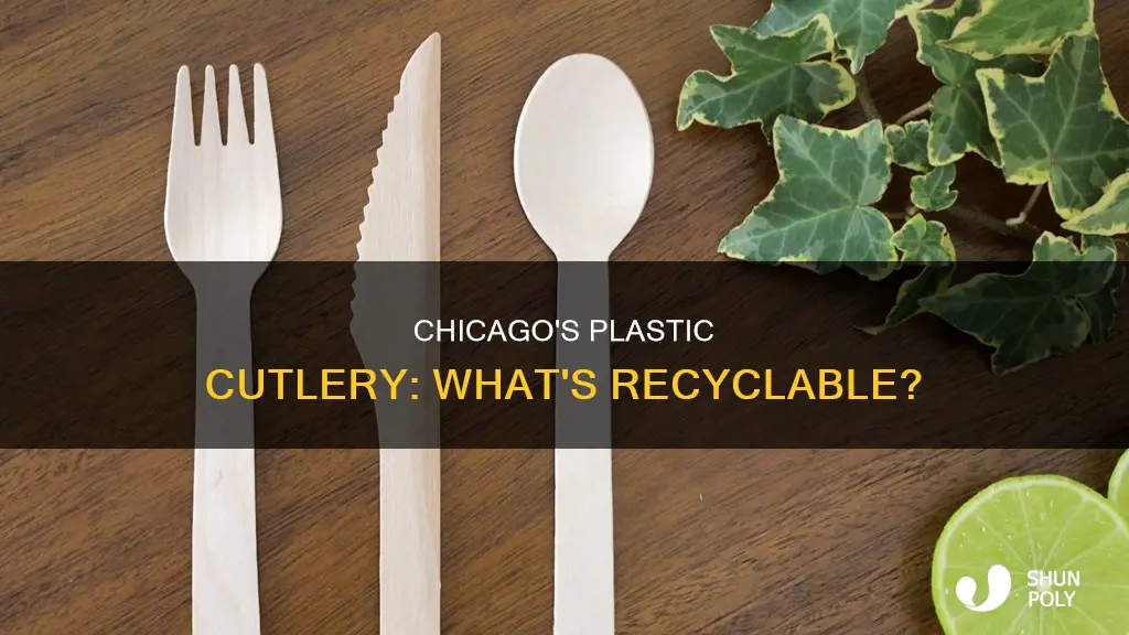 are plastic utensils recyclable in chicago