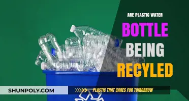 Are Plastic Water Bottles Truly Being Recycled? Unveiling the Truth