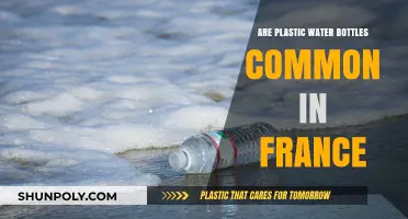 Plastic Water Bottles in France: Common or Eco-Conscious Alternatives?