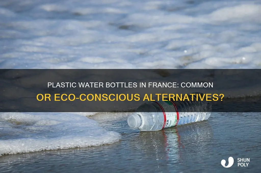 are plastic water bottles common in france