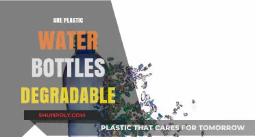 Are Plastic Water Bottles Biodegradable? Unveiling Environmental Impact and Solutions