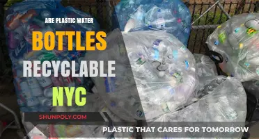 Are Plastic Water Bottles Recyclable in NYC? A Comprehensive Guide