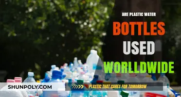 Global Plastic Water Bottle Usage: Trends, Impact, and Alternatives