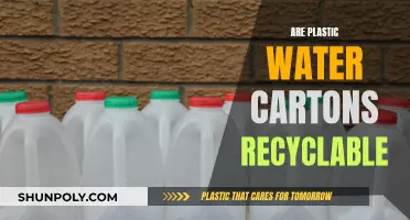 Water Cartons: Plastic Recyclability and Environmental Impact