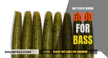 Plastic Worms: Bass Fishing's Best Friend?