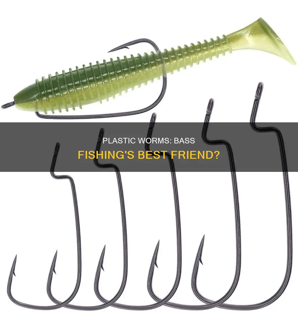 are plastic worms good for bass