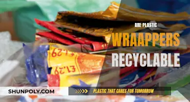 Unraveling the Mystery: Can Plastic Wrappers Be Recycled?