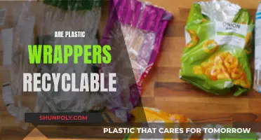 Unraveling the Mystery: Can Plastic Wrappers Be Recycled?