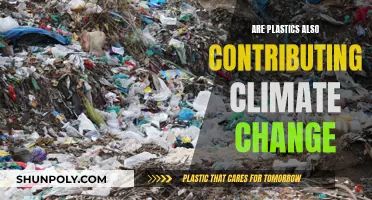 Plastic's Impact: Climate Change Culprit or Innocent Bystander?