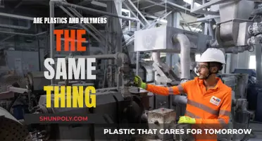 Polymers and Plastics: What's the Real Difference?