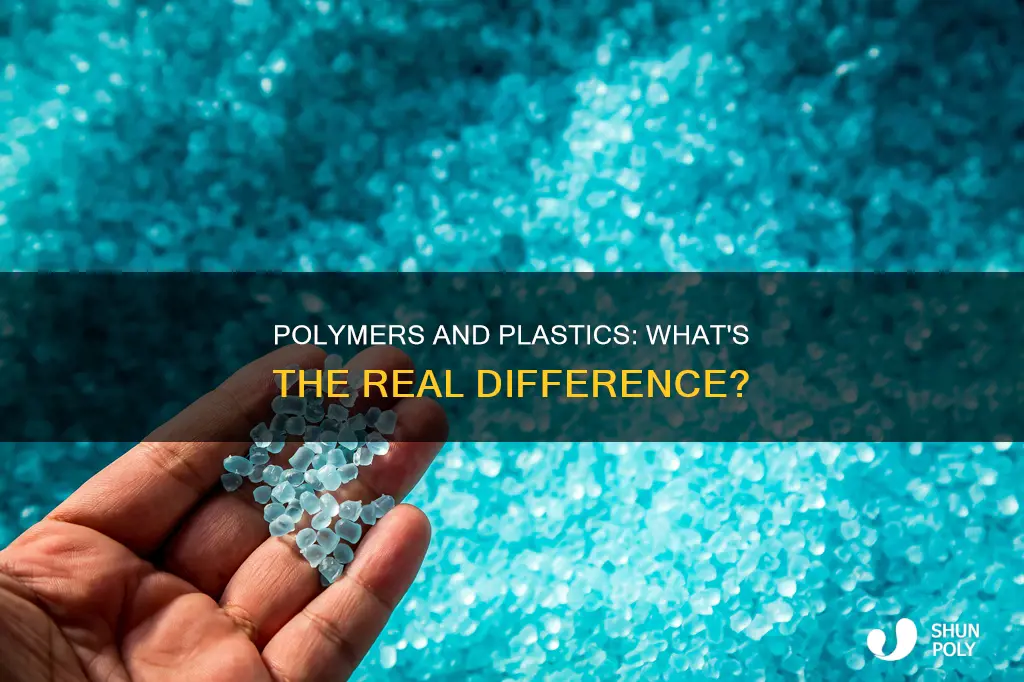are plastics and polymers the same thing