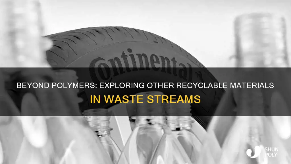 are plastics and rubbers only polymer to recycle