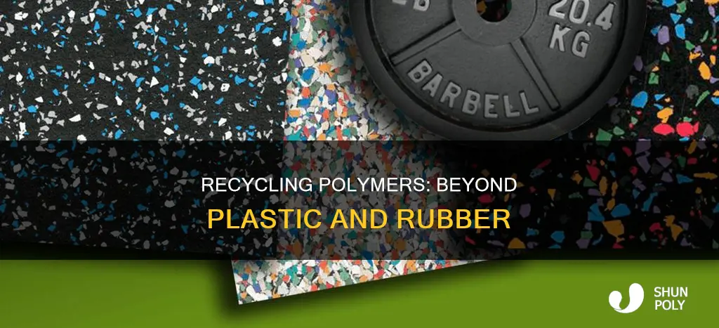 are plastics and rubbers only polymer to recycle