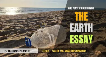 The Dark Side of Plastics: An Earthly Destruction Essay